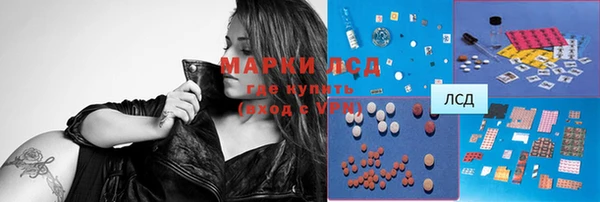 сатива Гусиноозёрск