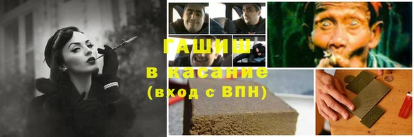 сатива Гусиноозёрск