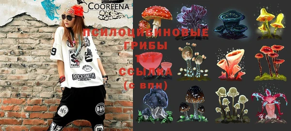 MESCALINE Гусев