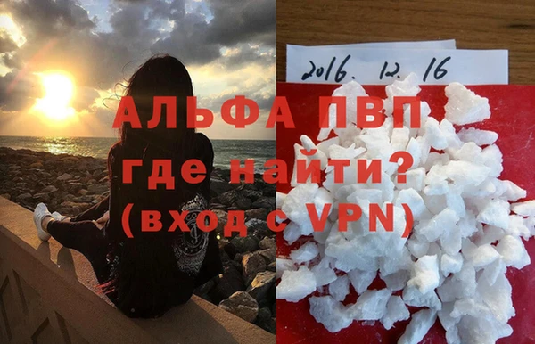 сатива Гусиноозёрск