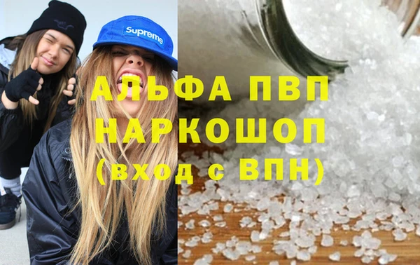 сатива Гусиноозёрск