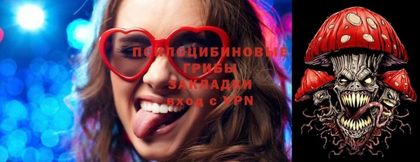 сатива Гусиноозёрск