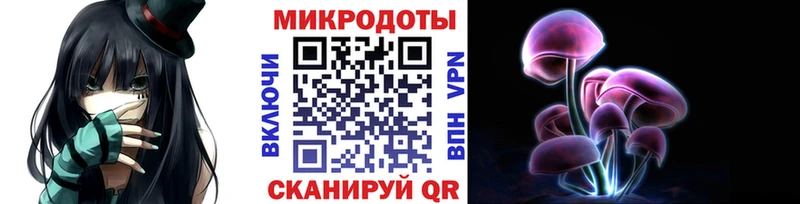 Галлюциногенные грибы GOLDEN TEACHER  Купить  Катайск 